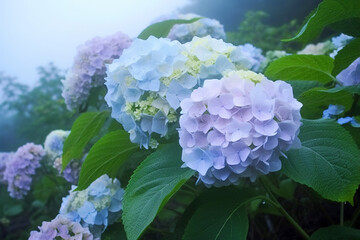 Fresh blue hydrangea flowers. AI generated image.