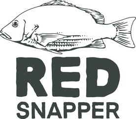 illustration of red snapper fish