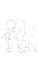 Vector Line Drawing Elephant. File format: AI and PNG