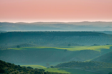 Andalusian agricultural landscape at sunrise with green hills of olive trees