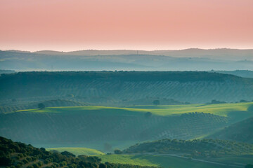 Fototapeta premium Andalusian agricultural landscape at sunrise with green hills of olive trees