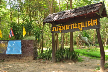 Front and sign of Tad Soong waterfall in Kalasin province in Thailand, famous attraction