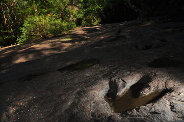 Footprint of dinosaur on stone with water and side lighting at Phu Faek, national park of Thailand,...