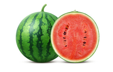 スイカのイラスト リアル