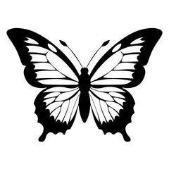 Butterfly black silhouette on a white background. Vector illustration.