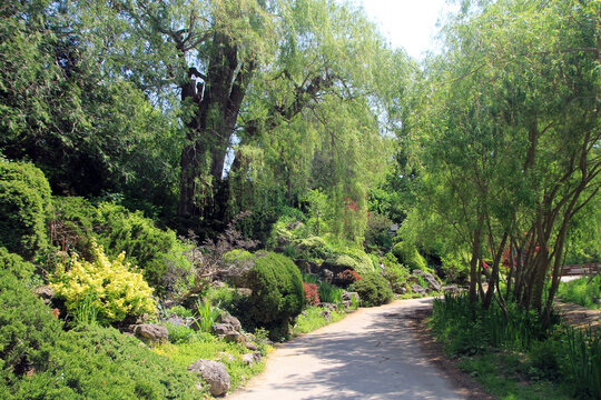 Summer landscape og the park