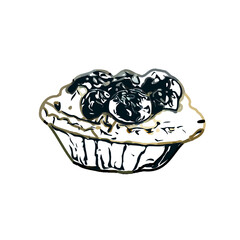 Pie color sketch with transparent background