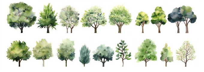 Hand-drawn watercolor tree collection: A pack of beautiful trees for forests and gardens, generative AI - obrazy, fototapety, plakaty
