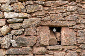 Un gatito se asoma desde una ventana de un muro de piedra en un pueblo español.