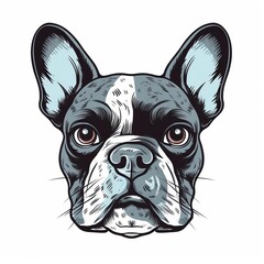 illustration of a french bulldog, simple, vector, minimal