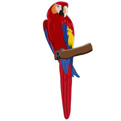 Ave loro Guacamayo sobre rama de árbol PNG 