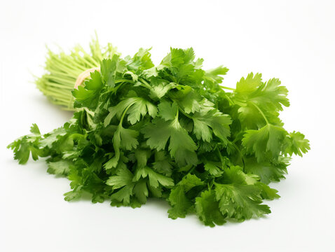 A bunch of fresh parsley on a white background
