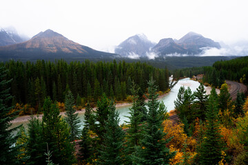 The river flows through the forest near the Canadian Rocky Mountains. Banff National Park. Alberta, Canada.