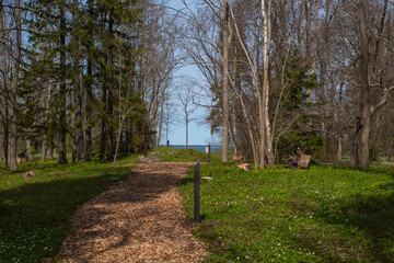 The landscape around the pathway in Kardla, Hiiu County (Estonian - Kärdla, Hiiumaa) on a sunny spring day. A popular natural attraction in Estonia is the tourist ecological trail.