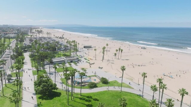 Drone shot above Athletic healthy people exercising outdoors. Bicycle and roller skating path along beach park with palm trees. Aerial Santa Monica beach and blue Pacific ocean on sunny summer morning