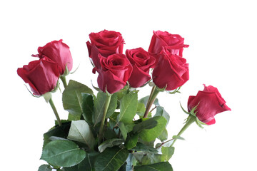 Red beautiful roses, bouquet. Congratulation, love concept. Floral background.