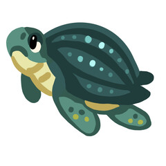 turtle illustration