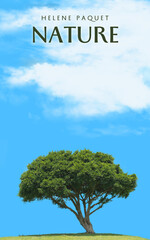 tree on the sky