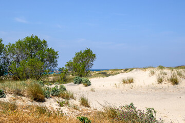 Fototapeta na wymiar Sand dunes at Marmari beach on the Greek island of Kos