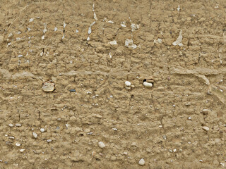 Seamless dry mud wall texture, showing stones and cracks