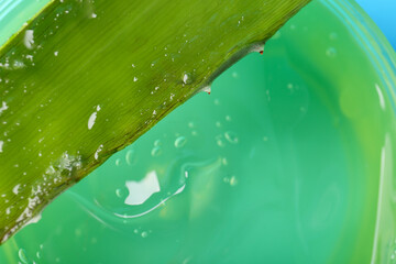 Aloe gel and leaf, closeup. Cosmetic product