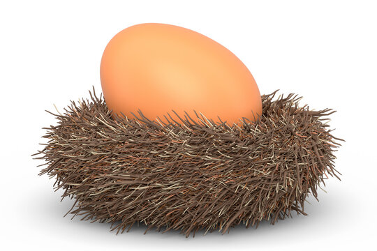 Farm raw organic brown eggs bird nest isolated on white background