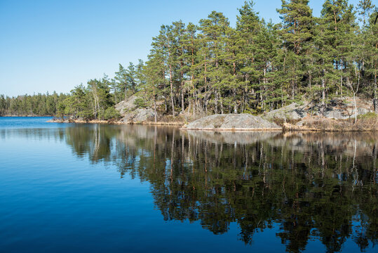 Swedish sunny scandinavian typical nature concept: Tyresta national park landscapes
