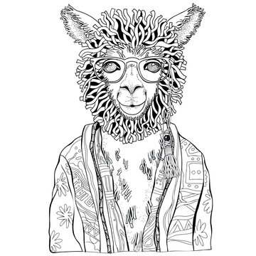 Coloring Book page for Adult and children. Llama in zentangle style with Glasses. Black and white background. Doodle hand-drawn.