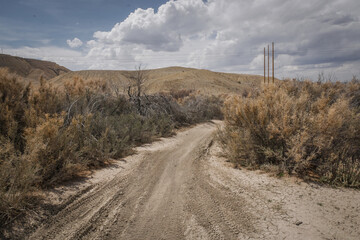 ATV trail through dry dead bushes in adobe clay badlands of Peach Valley near Montrose Colorado