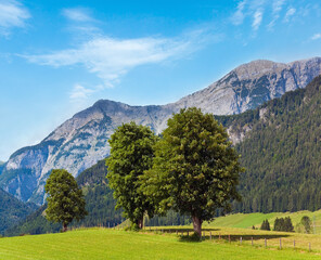 Fototapeta na wymiar Alps mountain meadow tranquil summer view (Austria, Gosau village outskirts)