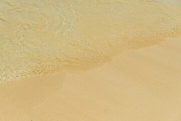 Fototapeta na wymiar Waves with foam on the Caribbean coast in Mexico.