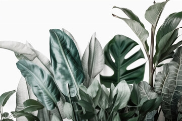 Naklejka na ściany i meble Leaves or leaf wallpaper on white background vector illustration. Ai generated