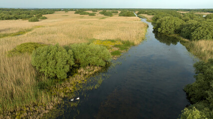 Fototapeta premium Danube Delta aerial view