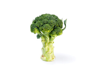 Fresh broccoli isolated on white background. Clipping path included