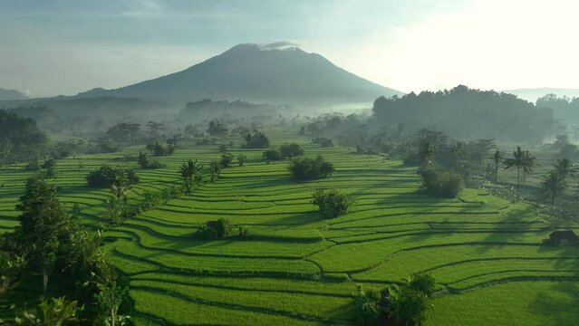 2023 - Excellent aerial view moving over rice terraces towards a misty mountain in Sideman, Bali, Indonesia.