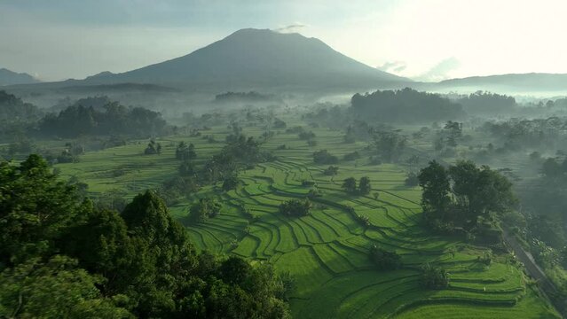 2023 - Excellent aerial view swooping over rice terraces towards a misty mountain in Sideman, Bali, Indonesia.