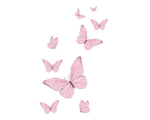 pink butterfly on white background - obrazy, fototapety, plakaty