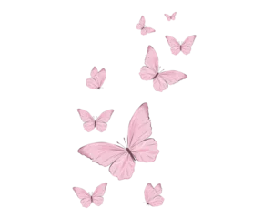 Tuinposter pink butterfly on white background © gltekin