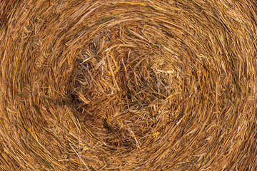 image filling close up of straw roll as texture