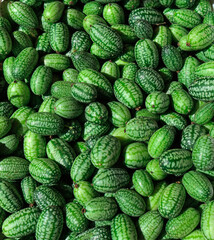 Organic cucamelon exposed in a fair in Portugal miniature watermelon