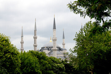 Fototapeta na wymiar Istanbul, Blaue Moschee und Bäume