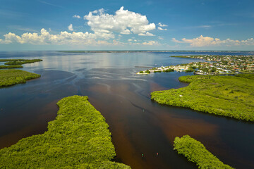Aerial view of Florida wetlands with green vegetation between ocean water inlets and distant residential houses. Natural habitat of many tropical species