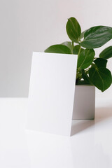 Blank white notecard on plant background, generative ai