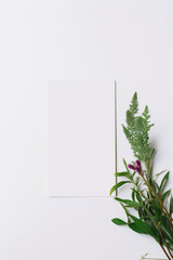 Blank white notecard on plant background, generative ai