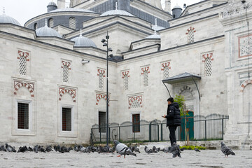 Tauben an der Istanbul Süleymaniye Moschee