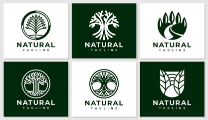 Minimalist line plant tree logo design set