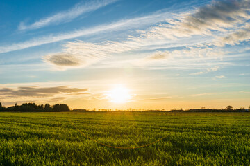 sunset over farm fields, rural farm landscape in Europe, Denmark © Marius Karp