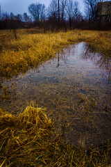 Vertical view of a marshland with brown withered grass and ditches of stagnant water