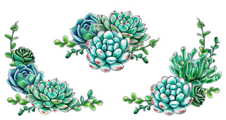 Set of bright compositions of cacti and succulents. Watercolor hand drawn illustration of succulents. Can be used for wedding cards and invitations, mother's day cards and greeting cards.