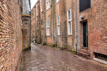 Delft, Netherlands - March 31, 2023: Scenery along the streets and canals of Delft in the Netherlands